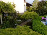 DSCF9071.webp