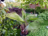 DSCF9062.webp