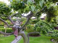 DSCF9073.webp