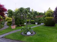 DSCF9074.webp