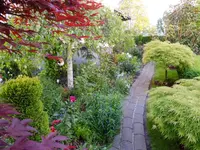DSCF9076.webp