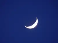 DSCN4264.webp