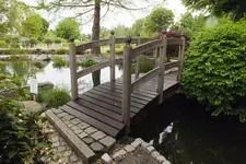 DSCF0964.webp