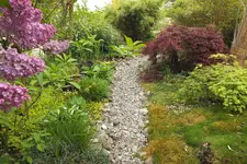 DSCF0945.webp