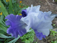 P1380557.webp