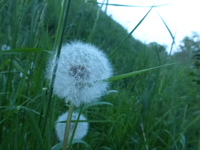 P1370521.webp