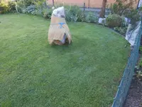 DSCN2381.webp