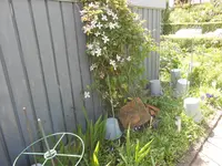 DSCN2375.webp