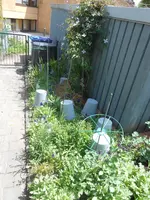 DSCN2373.webp