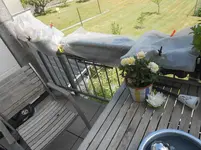 DSCN2380.webp