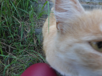 P1380940.webp
