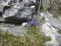 P1010227.webp