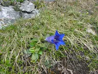 P1010242.webp