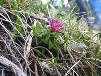 P1010247.webp