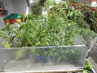 DSCN2383.webp