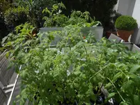 DSCN2385.webp