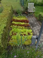 DSCN2367.webp