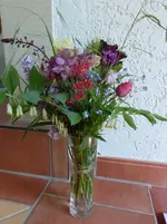 P1370434.webp