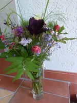 P1370435.webp