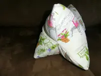 CIMG0285.webp