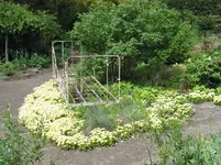 001.webp