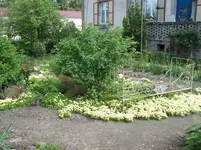 002.webp