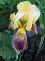 010.webp