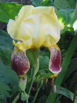 011.webp