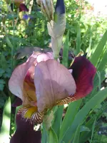 012.webp
