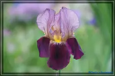 comp_DSC03498.webp