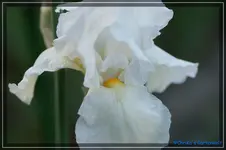 comp_DSC03504.webp