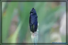 comp_DSC03500.webp
