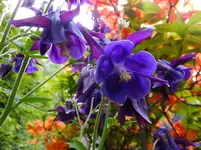 DSCF9156.webp