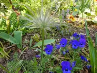DSCF9187.webp