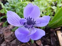 DSCF9196.webp