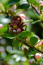 DSC_2077.webp