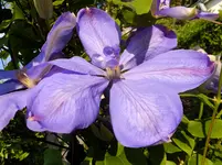 DSCF9202.webp