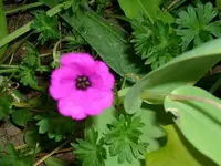 k-DSCI3333.webp