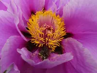 DSCF9090.webp