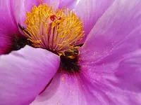 DSCF9097.webp