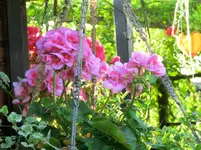 CIMG0280.webp
