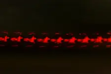 DSCN0837Y.webp