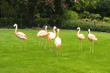 DSCF0961.webp