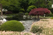 DSCF0963.webp