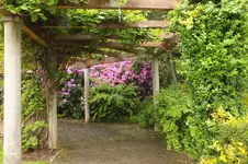 DSCF0975.webp
