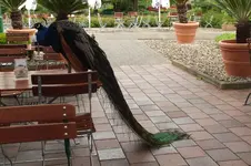 DSCF1033.webp