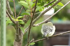 DSCF1045.webp