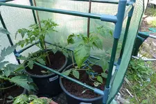 biogartenversand_P1130602.webp