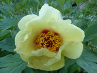 P1380443.webp