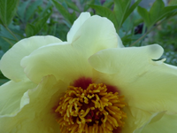 P1380444.webp